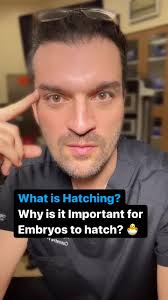 You 🫵🏼 also hatched! Watch to understand why human embryos have to hatch,  just like birds 🐣 do! . The egg is fertilized at the end of the Fallopian  tube, and a shell covering the egg protects the ...