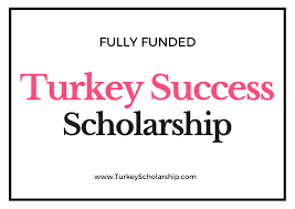 A scholarship resume is a document presenting your career objectives, academic achievements and activities, skills, and volunteer or work. Turkey Scholarship 2021 Turkey Government Scholarship 2021 2022 Turkish Scholarship Turkiye Burslari Turkey Scholarships