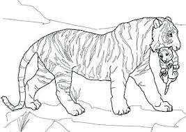 Take a deep breath and relax with these free mandala coloring pages just for the adults. Tiger Coloring Pages Pdf Coloringfolder Com Horse Coloring Pages Farm Animal Coloring Pages Animal Coloring Pages