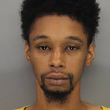 Man charged with leaving dogs in hot car at White Water