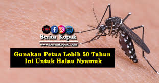 Tips to remove flies and mosquitoes take thin lime and cloves, make it as in the picture. Tag Petua Halau Nyamuk Berita Kopak