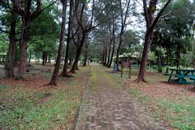 Ditambah lagi dengan udara yang segar dan nyaman! Portal Rasmi Pentadbiran Bahagian Bintulu