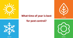 Common pests this time of year include mosquitos, ticks, wasps, and carpenter bees. Facts About Year Round Pest Control Arrow Exterminating