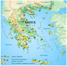 Anyone can easily contribute to the existing map by marking a tree from anywhere in the world. Recycling Free Full Text The Potential Of Tree Fruit Stone And Seed Wastes In Greece As Sources Of Bioactive Ingredients