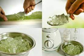 Aloe Vera Sac Cikarici Ozelliginden Nasil Yararlanilir Aloe Vera Jel Yapraklarini Uzunlamasina Ikiyes Kesin Icindeki Je Evde Hazirlabilen Ilaclar Diyet Dogal