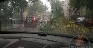 Происшествия во львове, криминальные новости львова, аварии, дтп, курьезы и другие события в жизни города. Evy9oxkleqxgcm