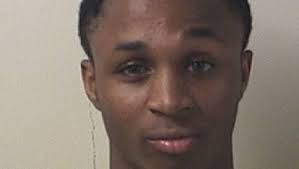 Local man sentenced for theft of guns, car, jewelry