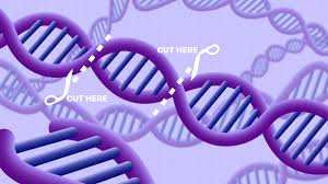 A valve manifold for a sprinkler system is where the water supply is divided into the zones (each attached to its own valve) that your sprinkler system will have, so each zone and run independently. Crispr Cas9 A Manifold Tool For Genome Editing Kilobaser Your Personal Dna Printer