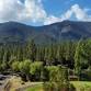 2026 Wine in the Pines