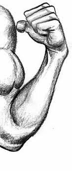 How To Draw The Human Figure - Figure Drawing