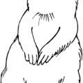 Some prairie dog coloring may be available for free. Prairie Dog Coloring Pages Prairie Dog 7 Printable Coloring4free Coloring4free Com