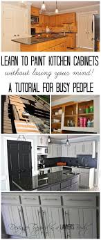 How To Paint Kitchen Cabinets Without Sanding Or Priming Step By Step Diy Huis Keuken Idee Interieur