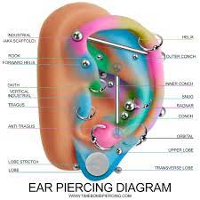 Do Piercings Hurt Piercing Croydon Timebomb Piercing Tattoos