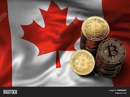 Forbes.com why is it important to find a way to buy bitcoin at low fees? Stack Bitcoin Coins On Image Photo Free Trial Bigstock
