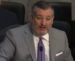 They say the darndest things! No shame. Please share.