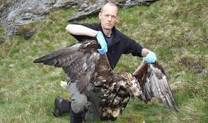 Check spelling or type a new query. Raptor Tags On Right Track Uk News Express Co Uk