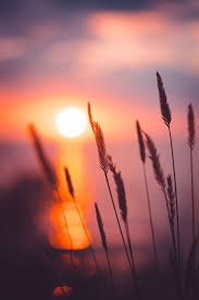 Sunrise Pictures Stunning Download Free Images On Unsplash Sunrise Pictures Nature Photography Nature Pictures