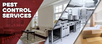 We are a group of pest control expert in delhi giving herbal pest control to home, offices, industries, hotels and corporate hubs of delhi. Pest Control Service In Delhi Ncr 918377926771