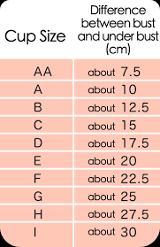 Described Bra And Cup Size Chart How To Measure Your Bra Size
