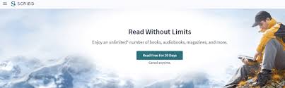 It is an alternative means of making payments for goods and services at groceries stores credit card numbers can be generated online. Top 11 Best Audible Alternatives 2021