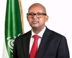 Presidency Minister: “We Have Valuable Contributions to Offer the United  States” in Push for Recognition