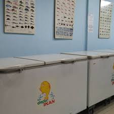 Komandan taruna siaga bencana (tagana) kabupaten banyumas heriyana ady chadra mengonfirmasi bahwa pendaki yang mengalami kecelakaan di. Depo Ikan Frozen Seafood