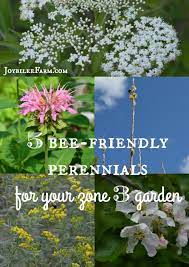 New pieces are added frequently, so visit often. 5 Bee Friendly Perennials For Your Zone 3 Garden For Better Biodiversity