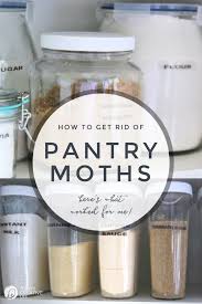 Organized Pantry Ideas For Kitchen Cabinets Food Storage Containers And Jars For Your Pantry Pantry Labels For An Organized Pantry In 2020 Pantry Moths Food Storage Containers Pantry Organization