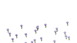 With tenor, maker of gif keyboard, add popular animated flowers blooming gif animated gifs to your conversations. Transparent Background Flowers Flowers For You Gif Transparentbackgroundflowers Background Flowers Discover Share Gifs