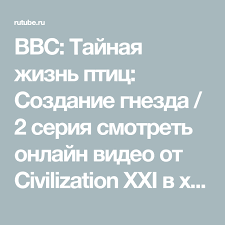 тайная жизнь домашних животных смотреть онлайн в хорошем качестве Bbc Tajnaya Zhizn Ptic Sozdanie Gnezda 2 Seriya Smotret Onlajn Video Ot Civilization Xxi V Horoshem Kachestve Xxi Mobile Boarding Pass Bbc