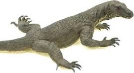 Amazon.com: Réplica de lagarto de goma realista de 13 ...
