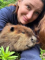 Nibi the Beaver: From Rehab to Education