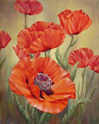 The world's #1 brand in diamond painting kits. Diy Handwork Store 5d Poppy Flowers Diamond Painting Kits Cross Stitch Arts Crafts Full Round Drill Rhinestone Needlework Sewing Kits Embroidery Home Decor 11 8 X 14 2 Buy Online In Antigua And Barbuda At Antigua Desertcart Com
