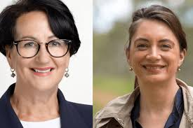 South Australia moves to modernise abortion laws in the state