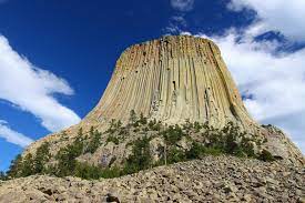 Was a giant system of roots discovered below the devil's tower rock formation? Help Spread Wyoming S New Myth