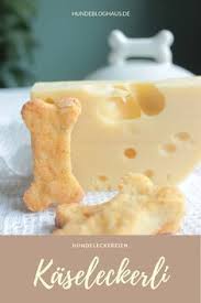 Hundekekse Mit Kase Selbermachen Mit Diesem Rezept Fur Hunde Hunde Kekse Rezept Hundekekse Hunde Kuchen