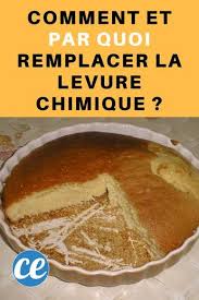 Comment Et Par Quoi Remplacer La Levure Chimique Levure Chimique Trucs Et Astuces Cuisine Levure