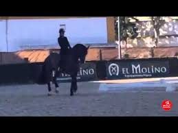 In a recent post, the british rider paid tribute to the humble snaffle and how it features into her training regime. Charlotte Dujardin Valegro Training In Cdi3 Jerez 280216 Youtube