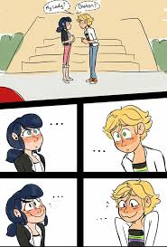 Pin By Sabrie D On Miraculous Ladybug Miraculous Ladybug Funny Miraculous Ladybug Anime Miraculous Ladybug Memes