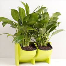 Wewoo Pot De Fleur Vert Mur Vegetal Vertical Interieur Et Exterieur Balcon Pots De Fleurs Muraux Combinaison Creative De En Plastique En Resine Avec Amovible Poterie Bac A Fleurs On retrouve des bacs en bois ou en pvc (plastique). wewoo pot de fleur vert mur vegetal vertical interieur et exterieur balcon pots de fleurs muraux combinaison creative de en plastique en resine avec