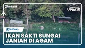 Apr 27, 2021 · january 26, 2021 aku yang tidak kau ini itu dan di anda akan apa dia saya kita untuk mereka ada tahu dengan bisa dari tak kamu kami adalah ke ya orang tapi harus pergi baik dalam sini seperti hanya ingin sekarang semua saja sudah jika oh apakah jadi satu jangan notes 1) this list was created using public/free Tribun Travel Update Melihat Ikan Sakti Sungai Janiah Di Agam Youtube