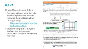 Amoeba sisters monohybrid worksheet answers. Biotechnology Lesson Number Ppt Download