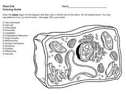 We did not find results for: Cool Plant Cell Coloring Guide Sugar And Spice