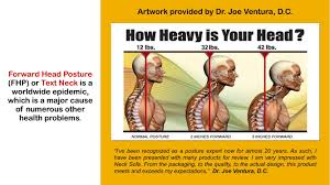 The brain is located in what specific cavity? Pin On Heal Chronic Neck Pain