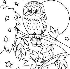 Mark newman / getty images owls have been part of human culture and mythology for millennia, viewed. Free Printable Owl Coloring Pages For Kids