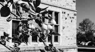 2023 Spring at CMU Program