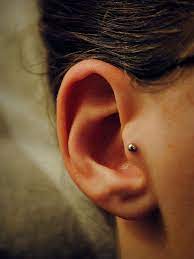 I Had This For Several Years And Then I It Closed Up When I Tried Changing It Wouldn T Mind Getting It Redone Ear Piercings Tragus Piercings Cute Piercings