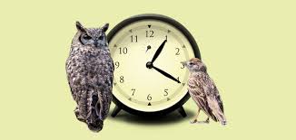 These sentences come from external sources and may not be. Deine Innere Uhr Von Eulen Und Lerchen Simplyscience