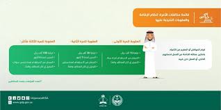 عام الجوازات 100 ألف ريال والسجن 6 أشهر والترحيل عقوبات من يقوم بنقل أو تشغيل المخالفين لنظامي الإقامة والعمل بما فيهم العمالة المنزلية وكالة الأنباء السعودية