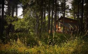 The cabin was very well maintained, very clean. Woodland Cabins Lodges Best Uk Cabins In The Woods Cool Places To Stay In The